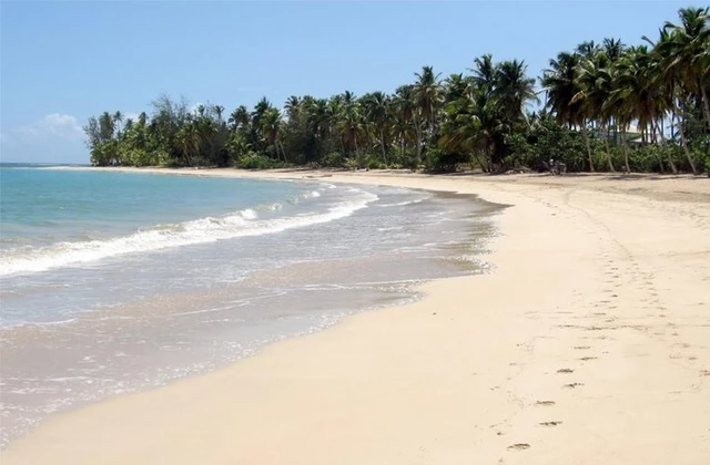 Residence Caoba Playa Las Terrenas
